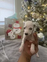 processed/334d8881-7c72-49aa-a344-56f147a14be6/listing/205e1da4-e712-4861-a463-d5a4907834aa/b0ae74a7-199b-478f-93dd-c66af5e74360