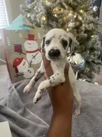 processed/334d8881-7c72-49aa-a344-56f147a14be6/listing/2ba4c560-a82a-4786-a90d-8c079b007c53/80302359-f93b-4331-b959-5c0d1d2b0330