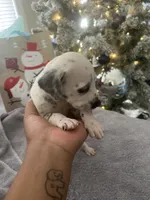 processed/334d8881-7c72-49aa-a344-56f147a14be6/listing/2ba4c560-a82a-4786-a90d-8c079b007c53/9b010904-76f7-423e-b5b8-a650a519a9e6