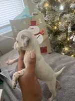 processed/334d8881-7c72-49aa-a344-56f147a14be6/listing/311b8cb8-21dd-4f30-b354-a979b024f62d/3a3dee5b-4938-45cb-b91f-e30fa902ac51