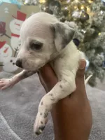 processed/334d8881-7c72-49aa-a344-56f147a14be6/listing/311b8cb8-21dd-4f30-b354-a979b024f62d/610f56d9-f1c6-4684-86b6-d2ca5e9424d0