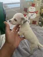 processed/334d8881-7c72-49aa-a344-56f147a14be6/listing/311b8cb8-21dd-4f30-b354-a979b024f62d/aa43fa66-cc5c-449c-9e4d-1e9f3bcd76f4