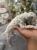 processed/334d8881-7c72-49aa-a344-56f147a14be6/listing/3a4445b3-feb9-4918-8d62-265ab0db3d3c/4c753a5d-e660-41c1-b4fb-df62804a20b2