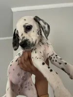 processed/334d8881-7c72-49aa-a344-56f147a14be6/listing/3a4445b3-feb9-4918-8d62-265ab0db3d3c/da09fff3-90bc-4c97-99ea-07bc6e3b6e07