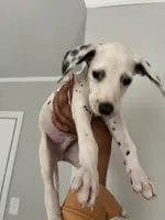 processed/334d8881-7c72-49aa-a344-56f147a14be6/listing/6d1dd673-4128-4d8c-a3bf-327920e749dd/0a761332-20e2-4041-9ebf-1bad83f3b44b