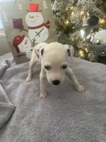 processed/334d8881-7c72-49aa-a344-56f147a14be6/listing/6d1dd673-4128-4d8c-a3bf-327920e749dd/9cd19715-7258-4a0a-9838-f881c860c279