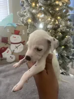 processed/334d8881-7c72-49aa-a344-56f147a14be6/listing/6d1dd673-4128-4d8c-a3bf-327920e749dd/aa0cceb4-86a8-49f0-880d-db2688a61231