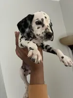 processed/334d8881-7c72-49aa-a344-56f147a14be6/listing/7026581f-25d7-4fc2-ae5f-963f29623309/0123de95-f1bd-4490-b2f0-c0085a2a9ad1