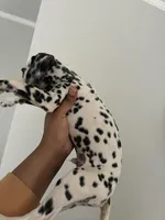 processed/334d8881-7c72-49aa-a344-56f147a14be6/listing/7026581f-25d7-4fc2-ae5f-963f29623309/32a8b31f-e896-4289-8240-5dec7fb7128b