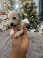 processed/334d8881-7c72-49aa-a344-56f147a14be6/listing/7026581f-25d7-4fc2-ae5f-963f29623309/3cb79d42-08e1-46a5-a45f-36b292caf1f1