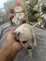 processed/334d8881-7c72-49aa-a344-56f147a14be6/listing/7026581f-25d7-4fc2-ae5f-963f29623309/5f56e0b8-b97e-4515-964b-555a39a17e7c