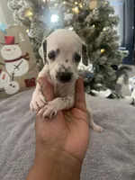 processed/334d8881-7c72-49aa-a344-56f147a14be6/listing/7026581f-25d7-4fc2-ae5f-963f29623309/71c99beb-6f24-4e5a-9197-7edee408ecea