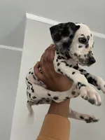 processed/334d8881-7c72-49aa-a344-56f147a14be6/listing/7026581f-25d7-4fc2-ae5f-963f29623309/ab7eaab2-85dd-443e-a941-881b54a73871