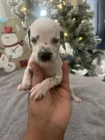 processed/334d8881-7c72-49aa-a344-56f147a14be6/listing/7026581f-25d7-4fc2-ae5f-963f29623309/d0ead5f7-9cbe-49a0-84f1-09b707f63e0c