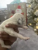 processed/334d8881-7c72-49aa-a344-56f147a14be6/listing/f7fb35a7-dbb5-438e-9144-be8d193cc92b/3208ba3a-f3a2-4ea7-9c97-d87f2f481d54