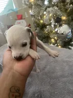 processed/334d8881-7c72-49aa-a344-56f147a14be6/listing/f7fb35a7-dbb5-438e-9144-be8d193cc92b/7fc7ee7f-6b6d-4138-baa7-9dc6f59ad655