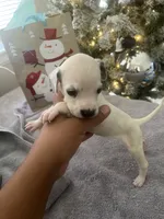 processed/334d8881-7c72-49aa-a344-56f147a14be6/listing/f7fb35a7-dbb5-438e-9144-be8d193cc92b/d0ff962c-c47e-4ef5-82f8-968c526d0b44