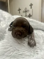 processed/33528689-4360-4d05-9e06-2b31941248a5/listing/0262791a-c883-48da-839a-033b3a633dba/998f9aa1-4621-416e-91bb-935cea237e6a