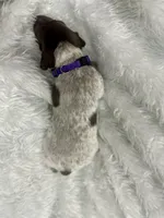 processed/33528689-4360-4d05-9e06-2b31941248a5/listing/0262791a-c883-48da-839a-033b3a633dba/f14ed50a-efa0-4f65-b5ec-d2db8b86608d