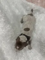 processed/33528689-4360-4d05-9e06-2b31941248a5/listing/03872abd-1ad9-495d-b434-7656776dbcb3/ff64f4fe-58b6-4abf-aa51-72d3bb95adaf