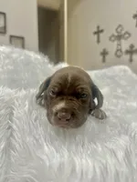 processed/33528689-4360-4d05-9e06-2b31941248a5/listing/7117a623-a36a-45e4-84f6-a9f613f49c81/48a9cf81-72b5-4ed6-8b3c-bf602115ee58