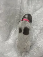 processed/33528689-4360-4d05-9e06-2b31941248a5/listing/b182a3ab-37b2-45b8-a8b9-000be1ad8e80/34c65929-aafc-4a4d-8fc3-42ef313fa53a