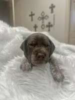 processed/33528689-4360-4d05-9e06-2b31941248a5/listing/b182a3ab-37b2-45b8-a8b9-000be1ad8e80/c1511374-52a5-4371-91f9-8847473a5eb4