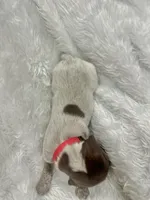 processed/33528689-4360-4d05-9e06-2b31941248a5/listing/b1a8b73f-592d-4cd8-952e-dee809a578ca/79426605-5559-4c0a-8c1c-9f132b0a165f