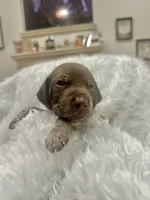 processed/33528689-4360-4d05-9e06-2b31941248a5/listing/b1a8b73f-592d-4cd8-952e-dee809a578ca/c6a8760c-911e-424b-9d26-8579094986a8