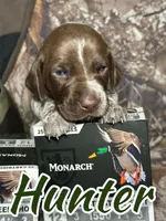 processed/33528689-4360-4d05-9e06-2b31941248a5/listing/b8ed0899-f333-4170-abc0-ecd0e5ef4615/21798b6d-f774-40ab-bc87-caa52e23ef34