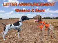 processed/33528689-4360-4d05-9e06-2b31941248a5/listing/fe833e69-afd5-4ccc-99b3-c7ee68678cc2/4ea47b82-b7f6-4083-bb86-8c45490ab6ae