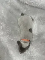 processed/33528689-4360-4d05-9e06-2b31941248a5/listing/fe833e69-afd5-4ccc-99b3-c7ee68678cc2/9f62d104-5a6c-4a1e-af40-8739a33338d7