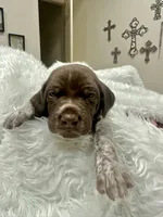 processed/33528689-4360-4d05-9e06-2b31941248a5/listing/fe833e69-afd5-4ccc-99b3-c7ee68678cc2/cbbc3622-5fd1-4cda-8574-eada6fb4896b