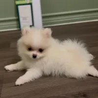 processed/3355a7e0-ce6f-4bf9-a749-4b0b862e171a/facility/21ad1d69-8b9b-46d1-ace2-f958a01a58d6