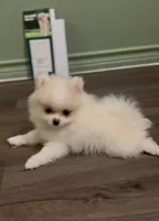 processed/3355a7e0-ce6f-4bf9-a749-4b0b862e171a/facility/21ad1d69-8b9b-46d1-ace2-f958a01a58d6