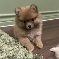 processed/3355a7e0-ce6f-4bf9-a749-4b0b862e171a/facility/2cec0dbe-581a-41fe-bcb3-0c4fe0f372b2