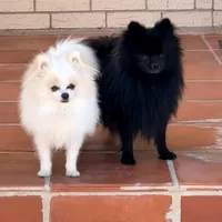 processed/3355a7e0-ce6f-4bf9-a749-4b0b862e171a/facility/31411629-d120-452b-93e8-cfc9a0b575eb