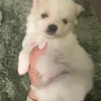 processed/3355a7e0-ce6f-4bf9-a749-4b0b862e171a/facility/4a0dee66-ad5a-4ed8-b981-d560277cfb4c