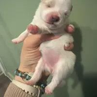 processed/3355a7e0-ce6f-4bf9-a749-4b0b862e171a/facility/8b2126b3-bd60-411a-962d-fd4c0c165638