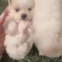 processed/3355a7e0-ce6f-4bf9-a749-4b0b862e171a/facility/afee30d3-cbe8-4804-a23e-4d8b9fda84e2