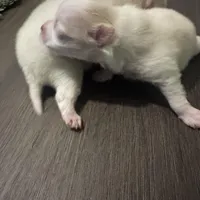 processed/3355a7e0-ce6f-4bf9-a749-4b0b862e171a/facility/cc07fa49-3c4d-4dab-a55f-7f79f450cdf3