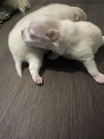 processed/3355a7e0-ce6f-4bf9-a749-4b0b862e171a/facility/cc07fa49-3c4d-4dab-a55f-7f79f450cdf3