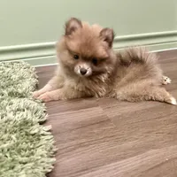 processed/3355a7e0-ce6f-4bf9-a749-4b0b862e171a/facility/e52d85e0-5c7a-4986-aa5e-c3946f1973c3