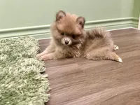 processed/3355a7e0-ce6f-4bf9-a749-4b0b862e171a/facility/e52d85e0-5c7a-4986-aa5e-c3946f1973c3