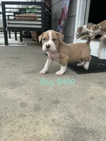 processed/33588b27-5ef9-480d-839f-b7f4ab0afa64/listing/31ac33ba-75a0-43fe-92cd-33f8cf8ebea3/191652a2-9e6a-4da2-af2a-4e91b8e6f37d