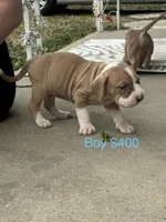 processed/33588b27-5ef9-480d-839f-b7f4ab0afa64/listing/31ac33ba-75a0-43fe-92cd-33f8cf8ebea3/35eb924c-18ef-45b6-93e2-f456a749ae7a