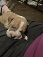 processed/33588b27-5ef9-480d-839f-b7f4ab0afa64/listing/31ac33ba-75a0-43fe-92cd-33f8cf8ebea3/9ec4931a-2002-4bfd-afa1-a450d907e039