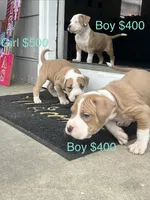 processed/33588b27-5ef9-480d-839f-b7f4ab0afa64/listing/a8c0e80b-ea93-4860-a250-3078603da490/58c34c5b-6f24-4da1-9397-27bd66c427b0