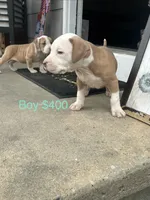 processed/33588b27-5ef9-480d-839f-b7f4ab0afa64/listing/f937150e-c647-43b2-9e5a-bb333647c716/07bc2330-c5e2-473c-8706-aa578e5121b5