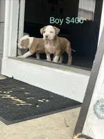 processed/33588b27-5ef9-480d-839f-b7f4ab0afa64/listing/f937150e-c647-43b2-9e5a-bb333647c716/5b124d14-41b1-41b6-b7b6-9caafd58d6b2